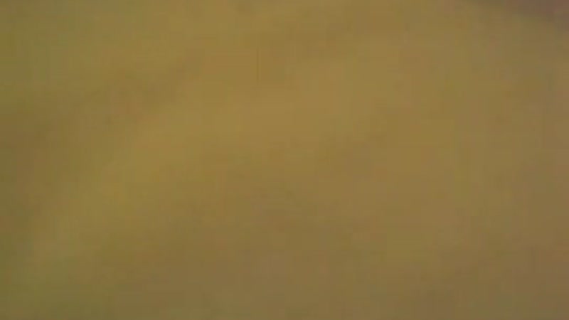 Cặp đôi dâm đãng mần nhau sướng quá trời